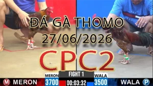 Video phát lại đá gà trực tiếp CPC2 ngày 27062026