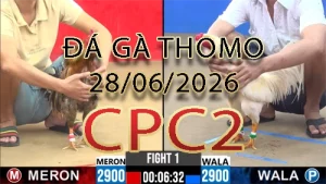 Video phát lại đá gà trực tiếp CPC2 ngày 28062026