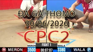 Video phát lại đá gà trực tiếp CPC2 ngày 30062026