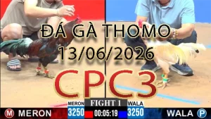Video phát lại đá gà trực tiếp CPC3 ngày 13062026