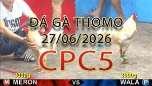Video phát lại đá gà trực tiếp CPC5 ngày 27062026
