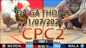 Video phát lại đá gà trực tiếp CPC2 ngày 01072026
