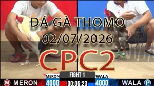 Video phát lại đá gà trực tiếp CPC2 ngày 02072026
