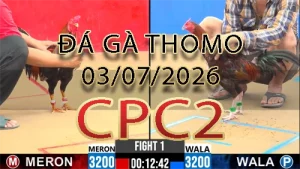 Video phát lại đá gà trực tiếp CPC2 ngày 03072026