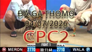 Video phát lại đá gà trực tiếp CPC2 ngày 04072026