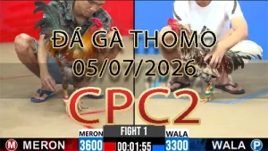 Video phát lại đá gà trực tiếp CPC2 ngày 05072026
