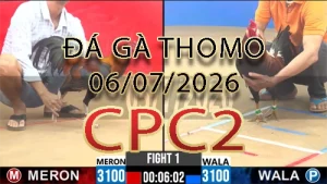 Video phát lại đá gà trực tiếp CPC2 ngày 06072026