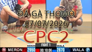 Video phát lại đá gà trực tiếp CPC2 ngày 07072026