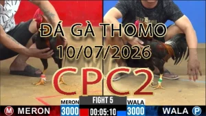 Video phát lại đá gà trực tiếp CPC2 ngày 10072026