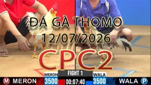 Video phát lại đá gà trực tiếp CPC2 ngày 12072026