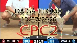 Video phát lại đá gà trực tiếp CPC2 ngày 13072026