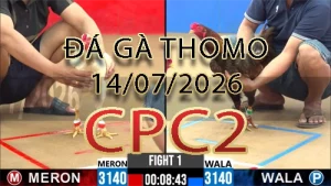 Video phát lại đá gà trực tiếp CPC2 ngày 14072026
