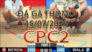 Video phát lại đá gà trực tiếp CPC2 ngày 15072026