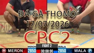 Video phát lại đá gà trực tiếp CPC2 ngày 17072026