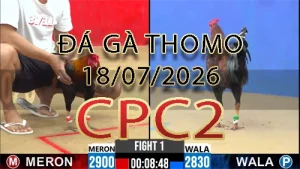 Video phát lại đá gà trực tiếp CPC2 ngày 18072026