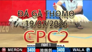 Video phát lại đá gà trực tiếp CPC2 ngày 19072026