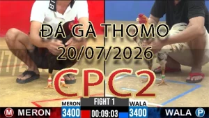 Video phát lại đá gà trực tiếp CPC2 ngày 20072026