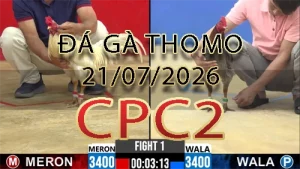 Video phát lại đá gà trực tiếp CPC2 ngày 21072026