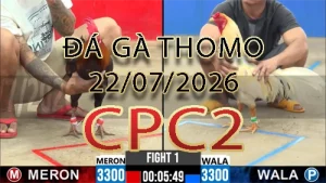 Video phát lại đá gà trực tiếp CPC2 ngày 22072026