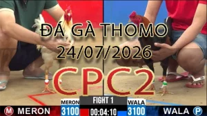 Video phát lại đá gà trực tiếp CPC2 ngày 24072026