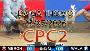 Video phát lại đá gà trực tiếp CPC2 ngày 25072026