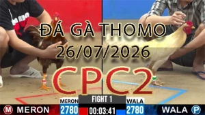Video phát lại đá gà trực tiếp CPC2 ngày 26072026