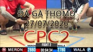 Video phát lại đá gà trực tiếp CPC2 ngày 27072026