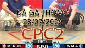 Video phát lại đá gà trực tiếp CPC2 ngày 28072026