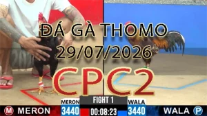 Video phát lại đá gà trực tiếp CPC2 ngày 29072026