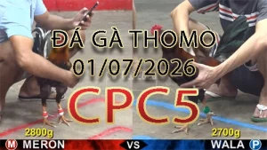 Video phát lại đá gà trực tiếp CPC5 ngày 01072026