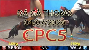 Video phát lại đá gà trực tiếp CPC5 ngày 04072026