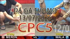 Video phát lại đá gà trực tiếp CPC5 ngày 13072026