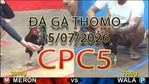 Video phát lại đá gà trực tiếp CPC5 ngày 15072026