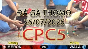 Video phát lại đá gà trực tiếp CPC5 ngày 26072026