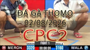 Video phát lại đá gà trực tiếp CPC2 ngày 02082026