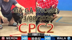 Video phát lại đá gà trực tiếp CPC2 ngày 13082026