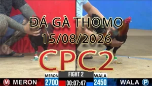 Video phát lại đá gà trực tiếp CPC2 ngày 15082026