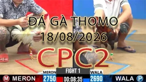 Video phát lại đá gà trực tiếp CPC2 ngày 18082026