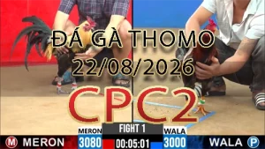 Video phát lại đá gà trực tiếp CPC2 ngày 22082026