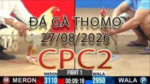Video phát lại đá gà trực tiếp CPC2 ngày 27082026