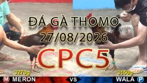 Video phát lại đá gà trực tiếp CPC5 ngày 27082026