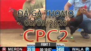 Video phát lại đá gà trực tiếp CPC2 ngày 08092026