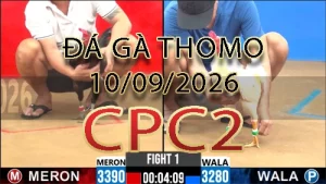 Video phát lại đá gà trực tiếp CPC2 ngày 10092026