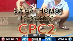 Video phát lại đá gà trực tiếp CPC2 ngày 12092026