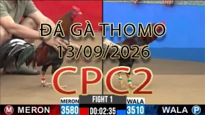 Video phát lại đá gà trực tiếp CPC2 ngày 13092026